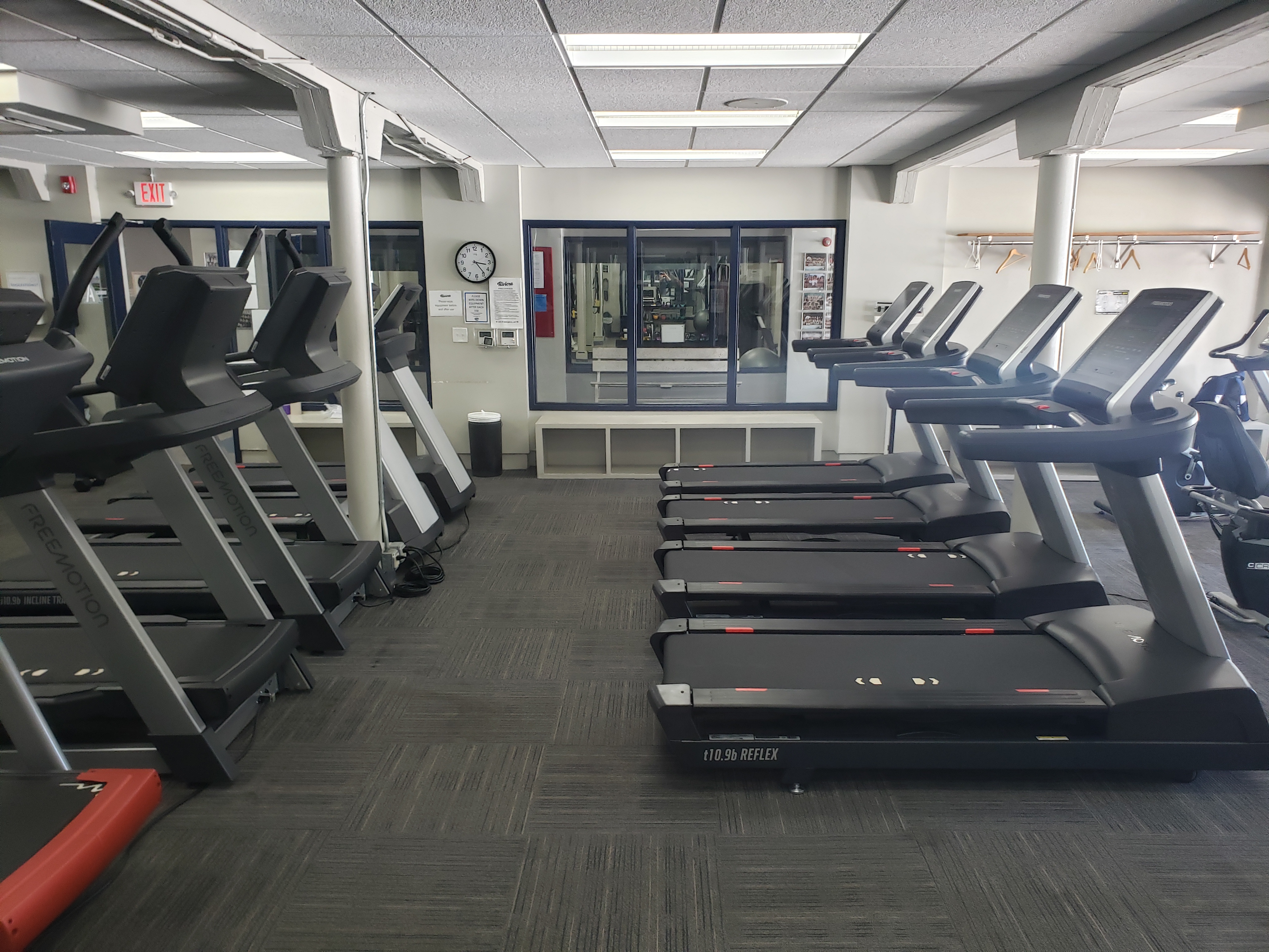 A row of treadmills